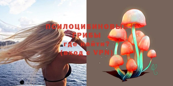 ALPHA-PVP Алексин