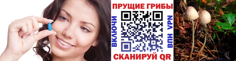 Псилоцибиновые грибы прущие грибы Сасово